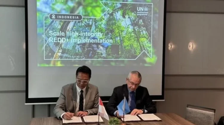 Indonesia, UNEP Strengthen Forest Climate Partnership