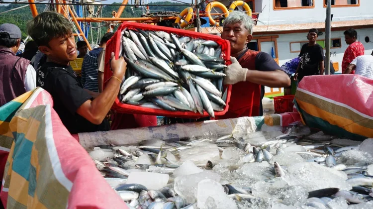 House Urges Strict Oversight of Fishermen’s Village Program