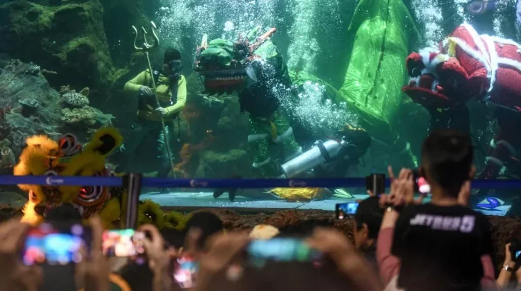 Indonesia Promotes Marine Tourism Through Aquarium Attractions