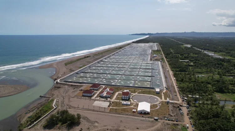 Indonesia Expands Productive Aquaculture Ponds for Exports, Jobs