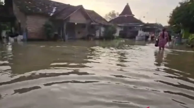 Heavy Rain Floods 538 Homes in Pati, Affecting 1,050 Residents