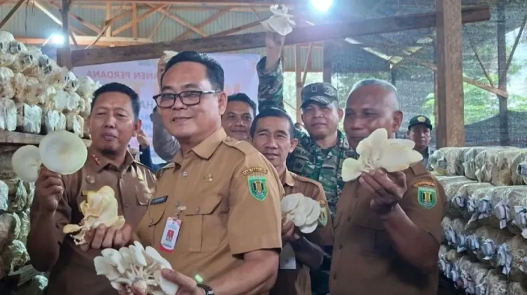 South Kalimantan Village Turns Waste Into Mushroom Enterprise