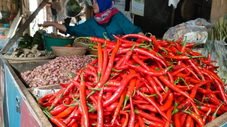 Statistics Bureau Highlights Inflation Risks During Eid al-Adha