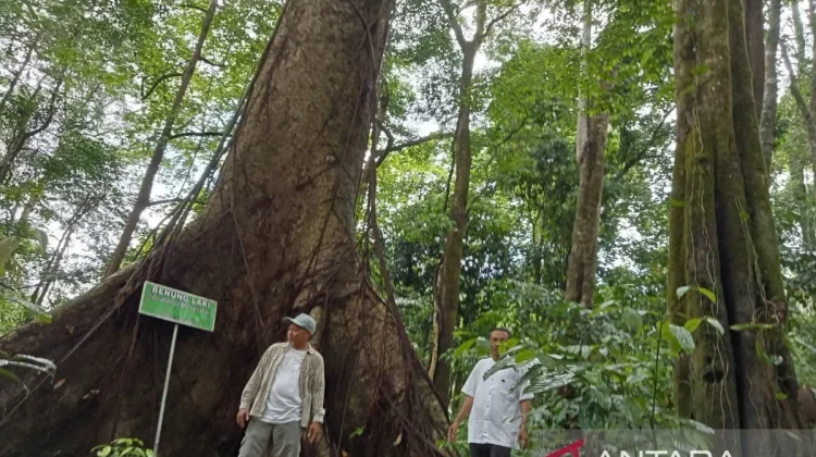 Indonesia's Green Transition to Create Millions of Jobs for Gen Z