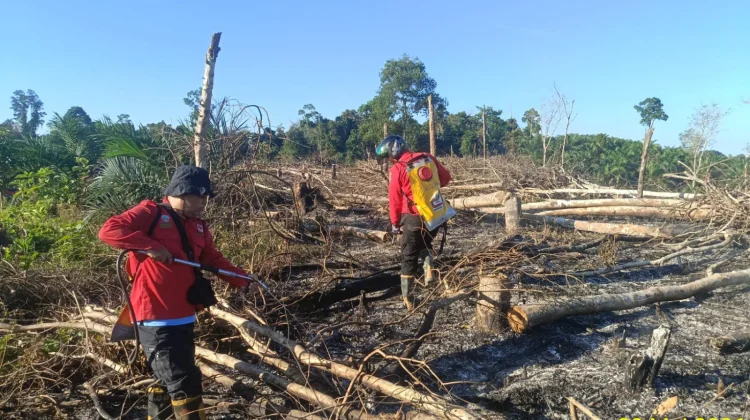 Forest Fires in South Sumatra Surge in Early 2026