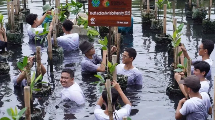 GIZ and Ministry Boost Youth Environmental Literacy Through Mangrove Education