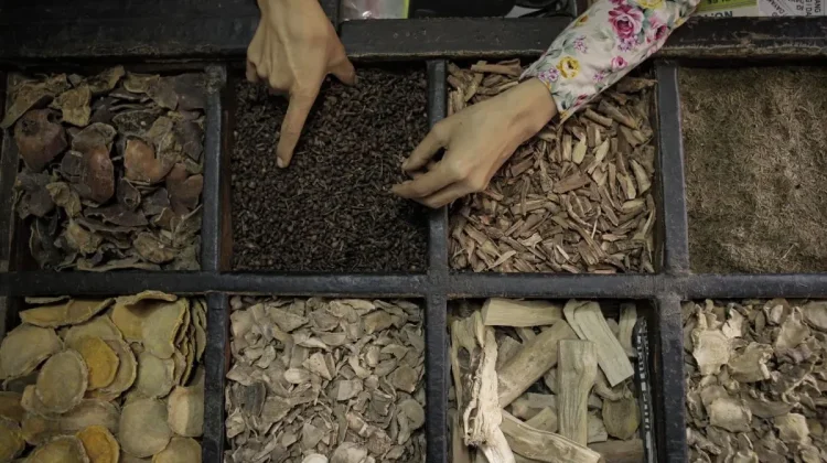 BPOM Launches Jamu Week 2026 to Expand Indonesia’s Global Herbal Market