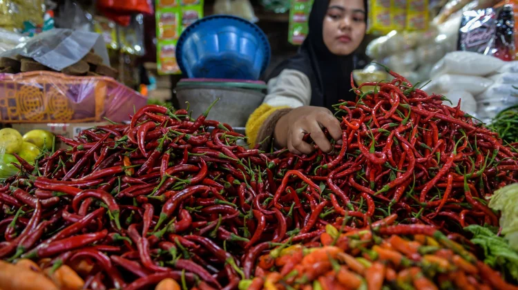 BPS Reports Significant Inflation Rise in May 2026
