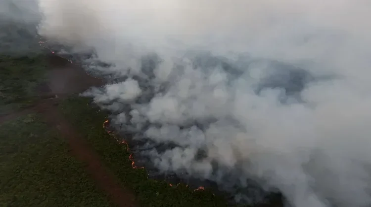 Wildfires in West Aceh Destroy 13 Hektaras of Land