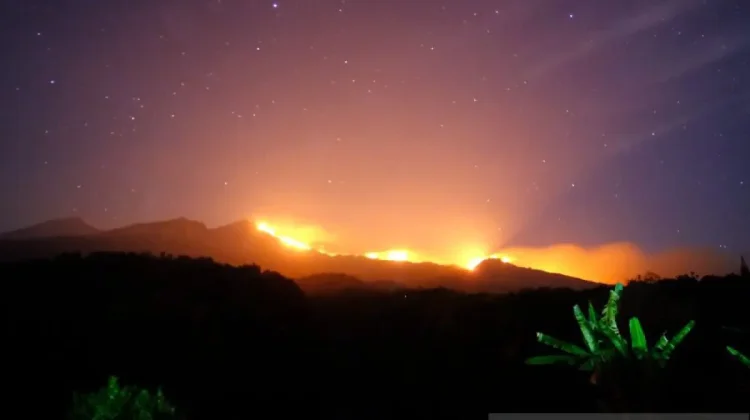 Rinjani Wildfire, Night and Resource Limits Halt Crews