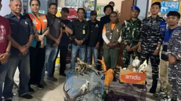 Ambon Port Raid Foils Illegal Wildlife Smuggling Plot