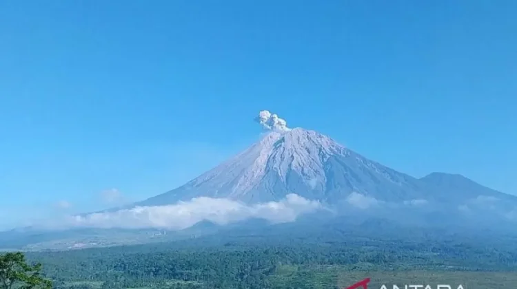 Mount Semeru Erupts Seven Times on Thursday Morning, Plumes Reach 700 Meters