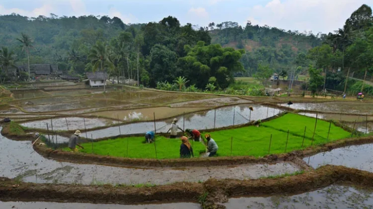 BRIN Shifts Rural Focus from Physical Infrastructure to Human Capacity
