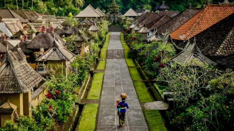 Bali Pitches Sustainable Green Growth to Global Investors