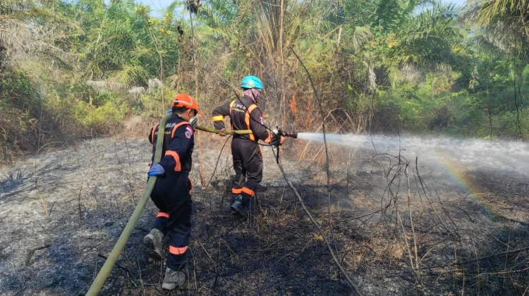 Indonesia and Korea Strengthen Joint Efforts Against Forest Fires