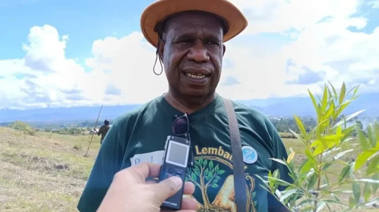 Papua Pegunungan Launches 'Green the Valley' Initiative to Combat Deforestation