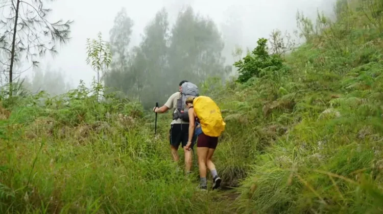 Authorities Urge Hikers to Strictly Obey Climbing Rules on Mount Rinjani