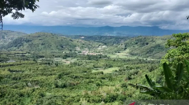 Kerinci’s Lekuk Limapuluh Tumbi Wins Jambi Customary Forest Award