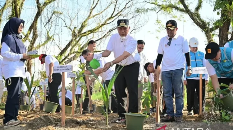 West Sumatra Plants 1,000 Trees to Kickstart Post‑flood Environmental Recovery