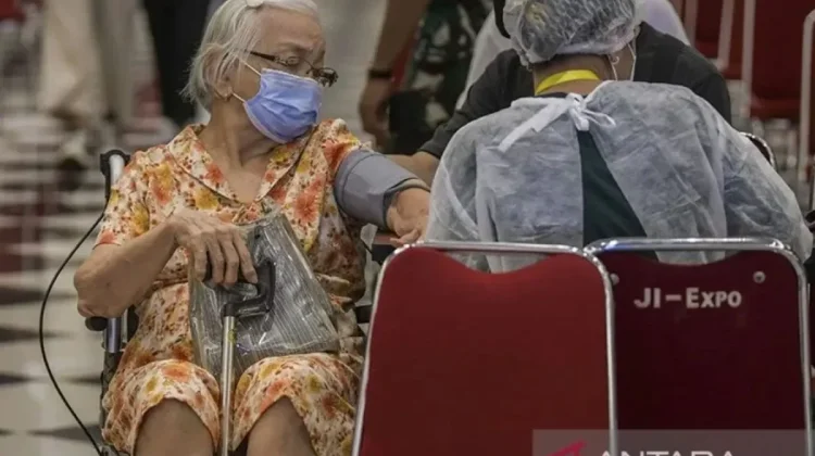 Health Ministry Strengthens Elderly-Friendly Services and Ecosystem