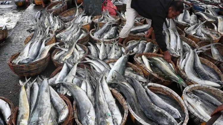 Indonesia Regains EU Market Access for Aquaculture Exports