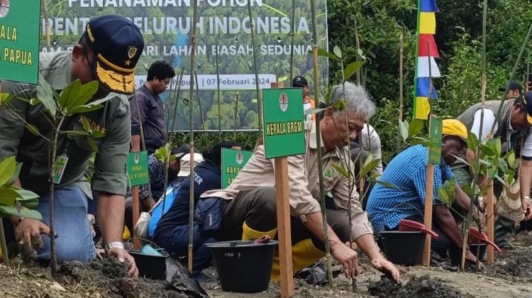 Southwest Papua Plants 5,000 Trees for Climate Campaign