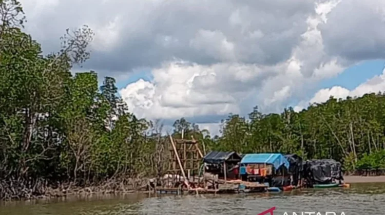Joint Team Halts 15 Illegal Tin Mining Pontoons in West Bangka