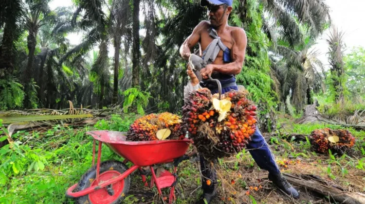 Indonesia, South Korean Consortium Explore Green Energy Partnership