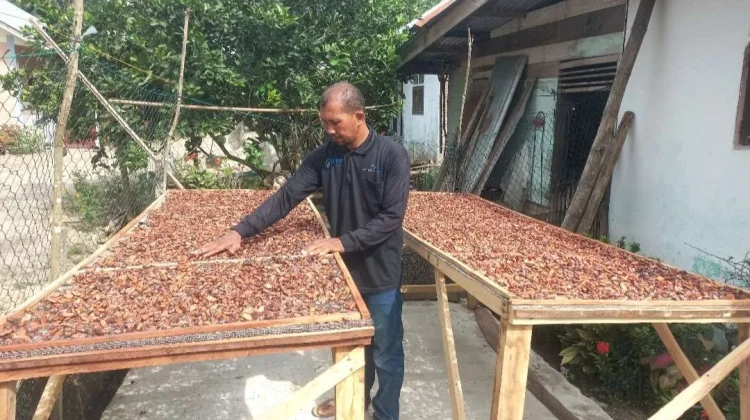 Indonesia's Cocoa Recorded Positive Performance in 2025: Indonesia Eximbank