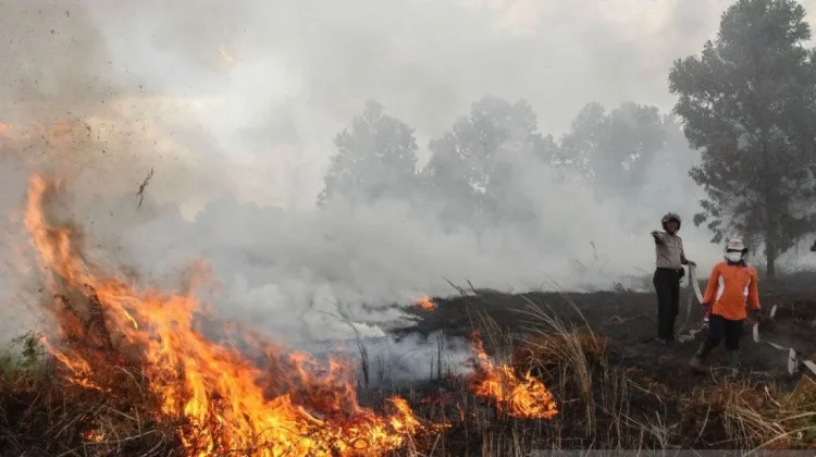 Indonesia Faces Rising Fire Risk as 81,000 Hectares Burned amid El Niño