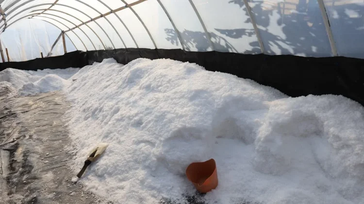 UGM Pushes Innovation to Tackle Indonesia’s Salt Self-Sufficiency Challenge