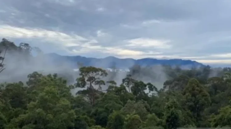 Ministry Pushes Local Wisdom Regulation to Ensure Inclusive Conservation