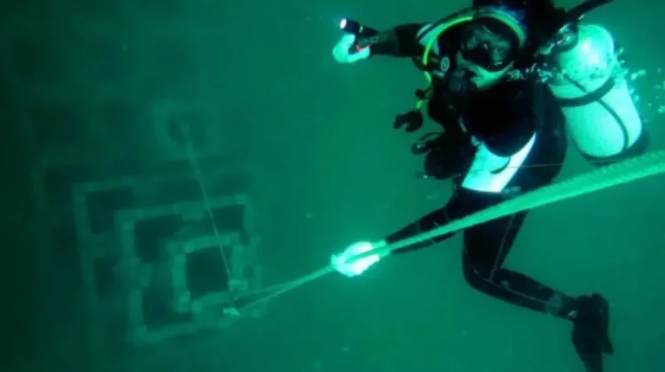 Undip Turns Industrial Waste Into Artificial Reefs