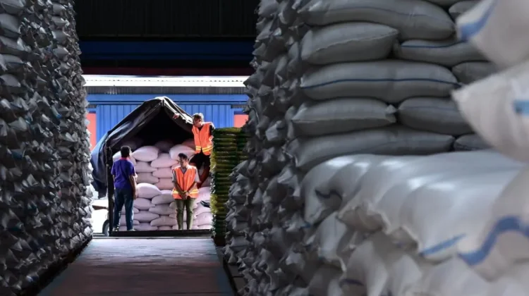 Indonesia Remains Southeast Asia’s Top Rice Producer, FAO Reports
