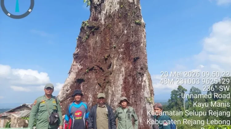 Kerinci Seblat National Park Steps Up Forest Restoration in Bengkulu