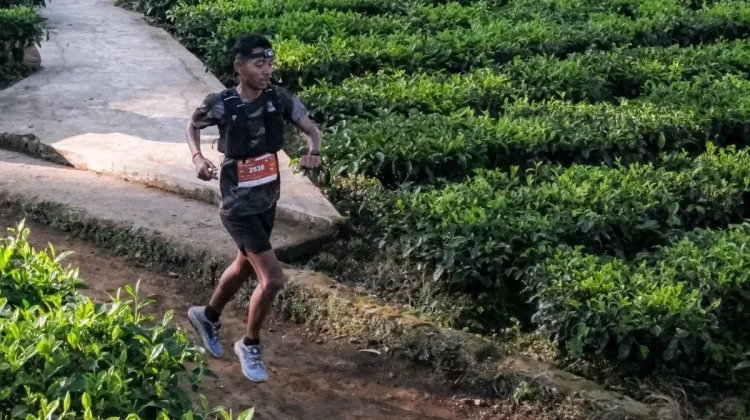 Dieng Caldera Race 2026 Boosts Wonosobo’s Sport Tourism Appeal