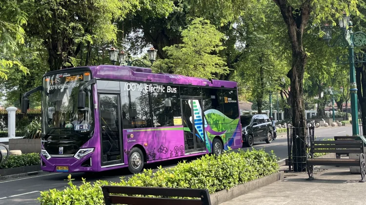 Govt EV Incentives Seen Driving Market Growth