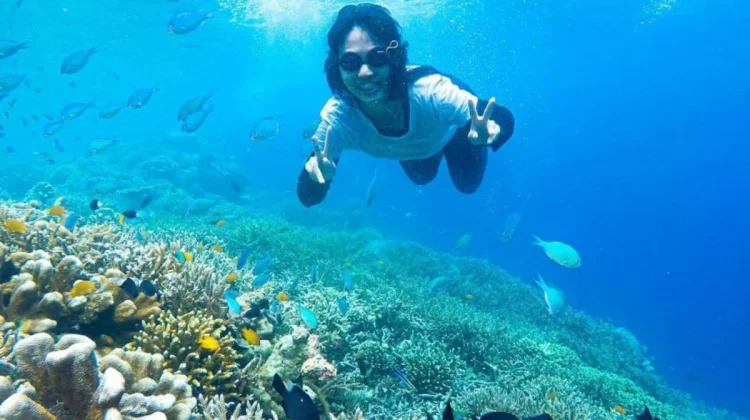 East Kalimantan Uses New Agency Model to Boost Derawan Marine Economy