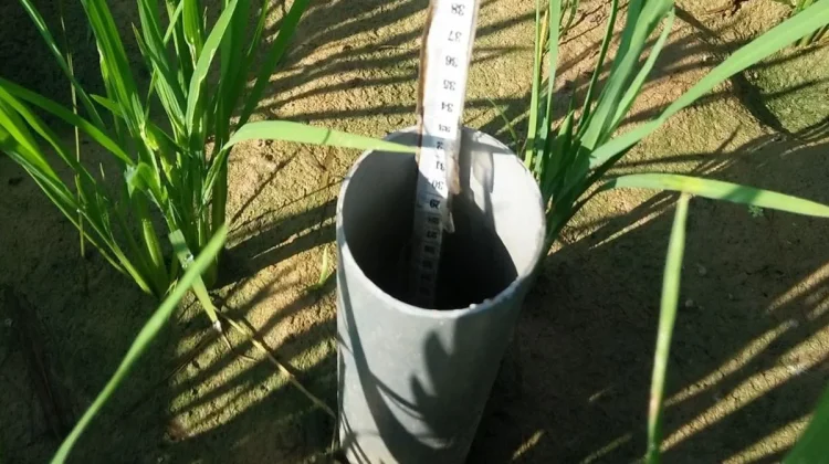 BRIN Showcases Climate-Smart Irrigation Innovation to Conserve Water