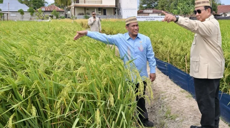 President Prabowo Calls Farmers and Fishermen Nation’s Backbone