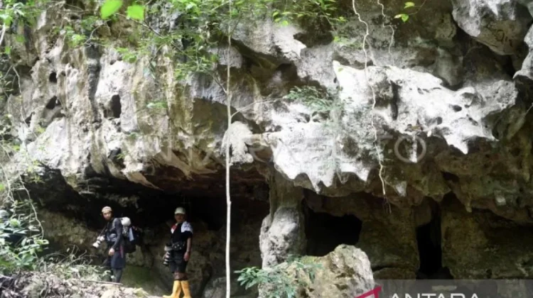 Berau Pushes UNESCO Geopark Recognition With UGM Partnership