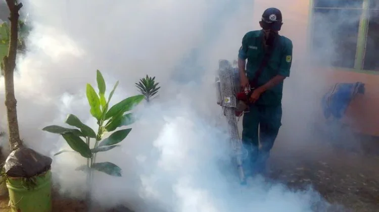 Tanjungpinang City Tackles 518 Malaria Cases by Targeting Mosquito Breeding Site