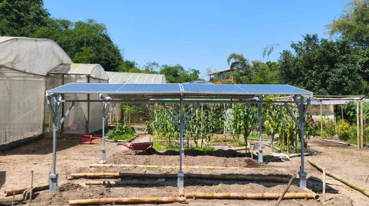 UGM Researchers Pioneer Agrivoltaic Innovation for Sustainable Farming