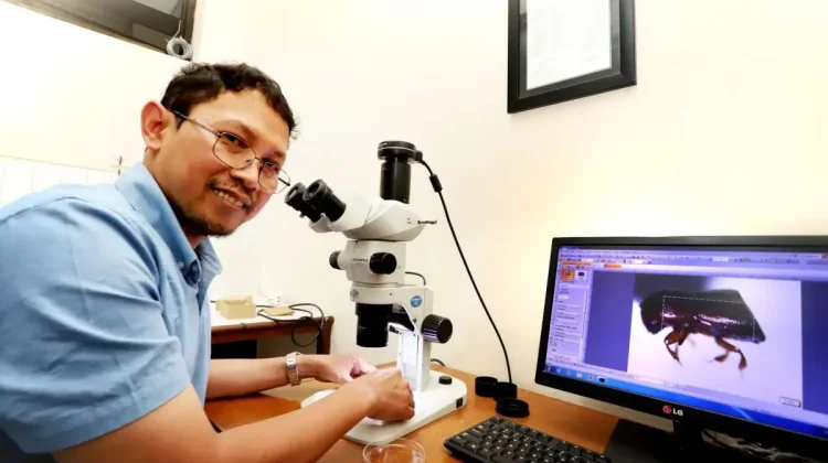 Researchers at Brawijaya University Discover Four New Beetle Species