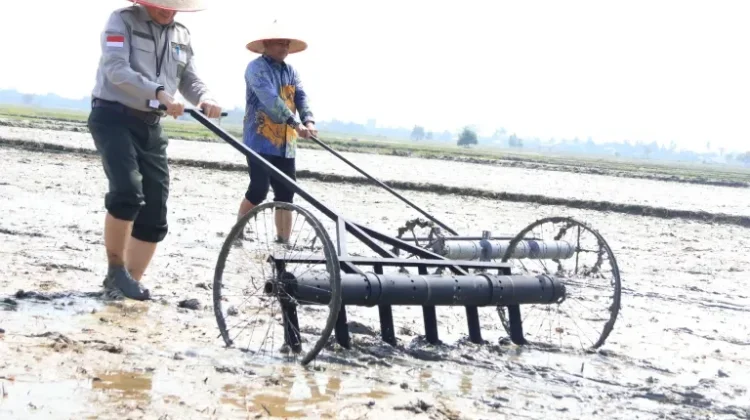 Indonesia’s Modern Agriculture System Promises Triple Rice Yields