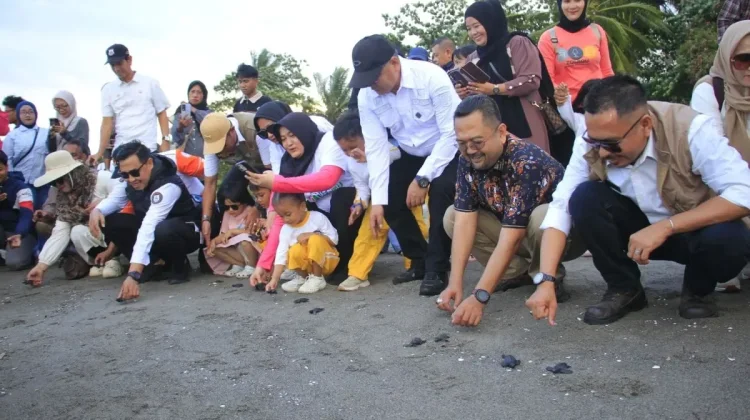 Mampie Turtle Festival in West Sulawesi Drives Long-Term Coastal Protection