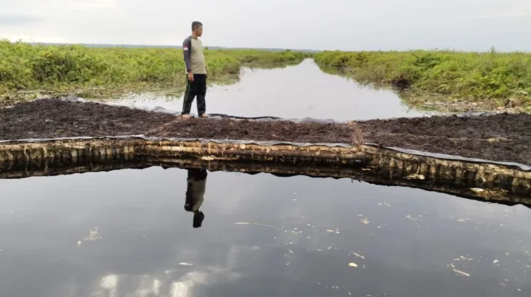 Indonesia to Lead Strengthening of Global Peatland Collaboration Platform