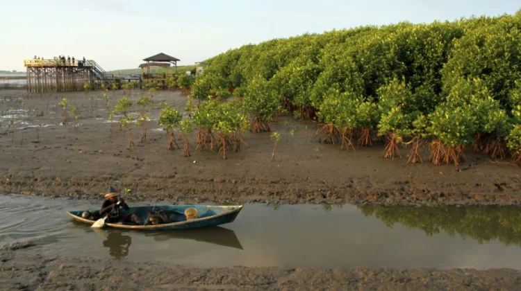 Indonesia Pushes Regional Climate Cooperation at UN ESCAP Forum