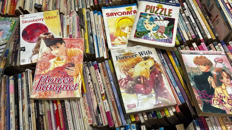 Japan Targets Global Piracy Losses with Support for Developing Nations