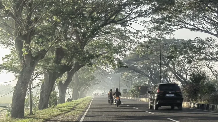 Dry Season Haze Disrups Morning Visibility at Lombok Airport